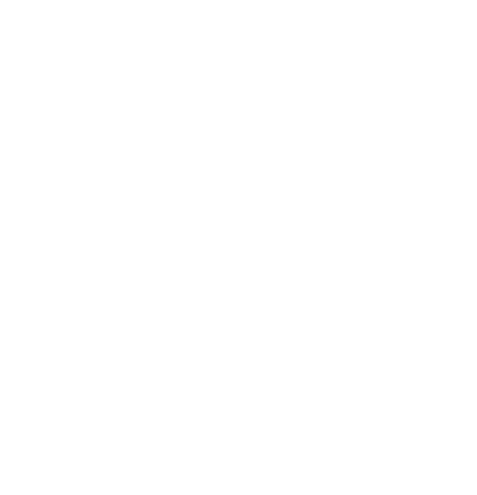 Movimento Mais Seguro